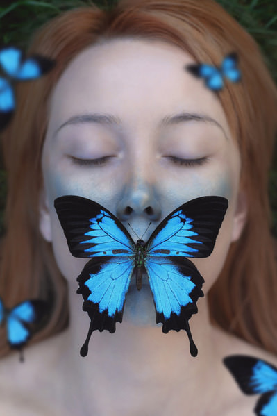 Photograph Giulia Filippi The Butterfly Effect on One Eyeland