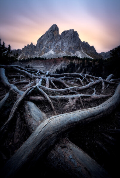 Photograph Gabriel Jakab Veins Of Nature on One Eyeland