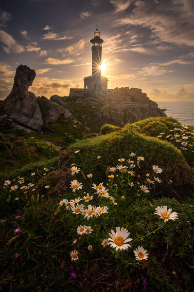 Photograph Alvaro Lamas Rivas Golden Tides And Wild Blooms on One Eyeland