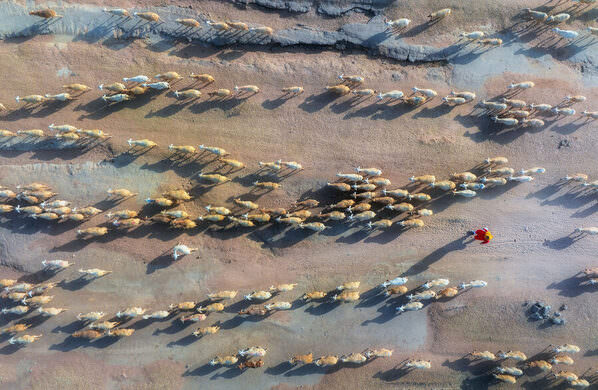 Photograph Aung Chan Thar Rural Life on One Eyeland