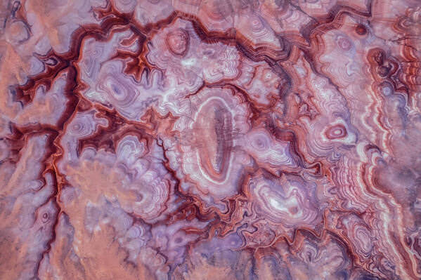 Photograph Daniel Vine Garcia Brain on One Eyeland