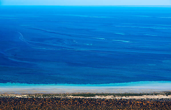 Photograph Satheesh Nair Shark Bay 9102 on One Eyeland