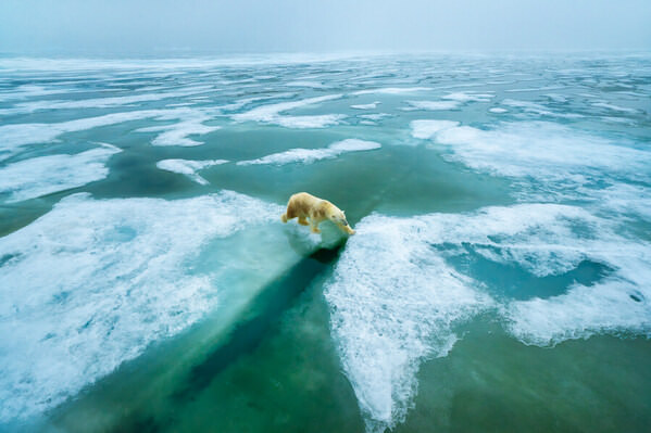 Photograph Hebe Kvernmo On Melting Ice on One Eyeland