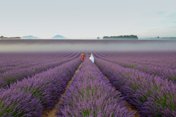 Photograph Valentina Acrement Lavender Dawn on One Eyeland