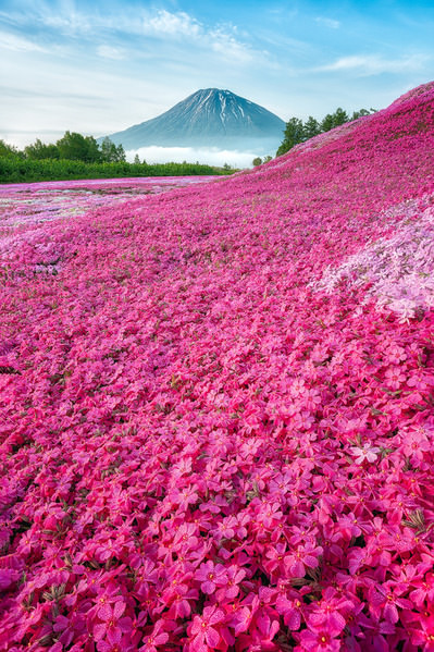 Photograph Yuusei Nagahata Spring Colors on One Eyeland