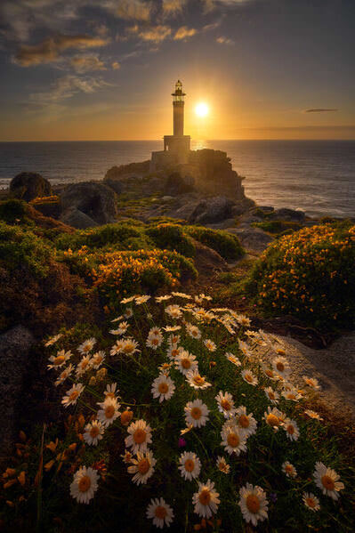 Photograph Alvaro Lamas Rivas Daisies And The Beacon on One Eyeland