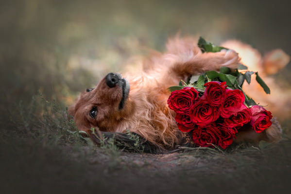 Photograph Lucie Nermutova Love Story on One Eyeland