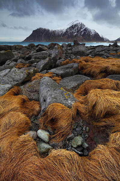 Photograph Joffrey Briaud Beaches Of Asgard on One Eyeland