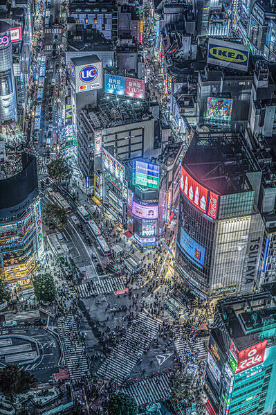 Photograph Setsuna Kurouzu Shibuya Night on One Eyeland
