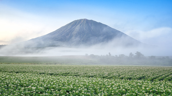 Photograph Yuusei Nagahata Summer When Potato Flowers Bloom on One Eyeland