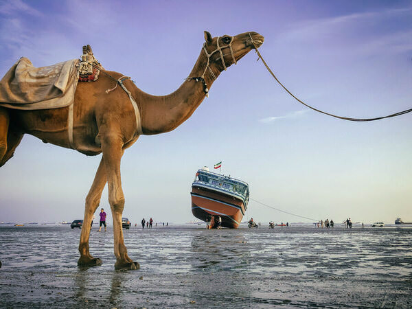 Photograph Qmars Khoshsefat Bandar Abbas on One Eyeland