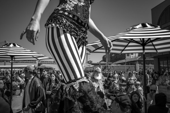 Photograph Eric Davidove Accidental Harmony on One Eyeland