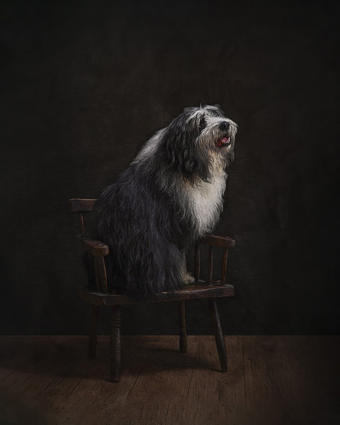 Photograph Lyudmyla Pokryshen Young Lad on One Eyeland