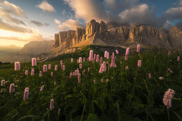 Photograph Miroslav Chrobacinsky Blooming Dolomites on One Eyeland