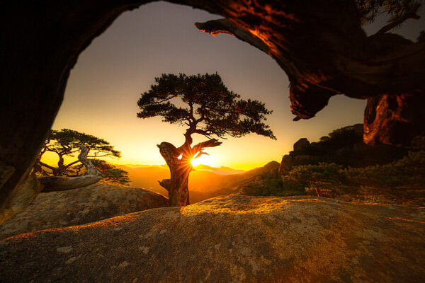 Photograph Kyawthu Wai Golden Hour on One Eyeland