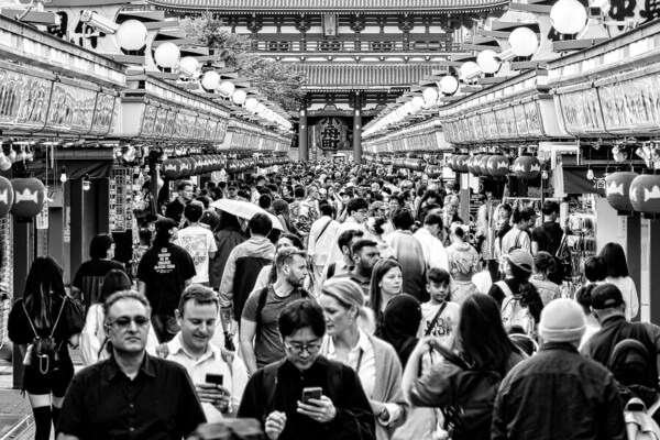 Photograph Gary E Karcz Crowded on One Eyeland