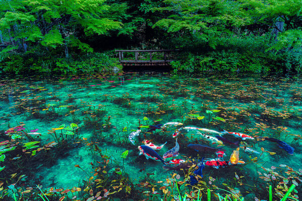 Photograph Eku Nii Excursion on One Eyeland