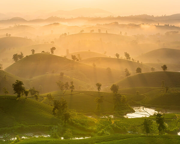 Photograph Duc Nguyen Long Coc Tea Hill Sunrise on One Eyeland