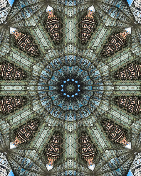 Photograph Hironko  Steel Botanica on One Eyeland