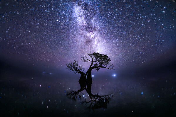 Photograph Ryuhei Suguri Walakiri Starry Sky on One Eyeland