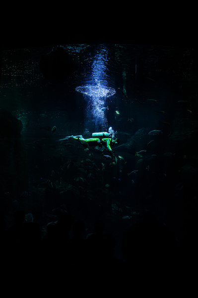 Photograph Setsuna Kurouzu Diver on One Eyeland