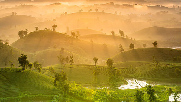 Photograph Duc Nguyen Long Coc Tea Hill Sunrise on One Eyeland