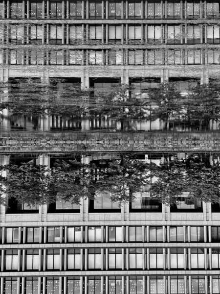 Photograph Marina Nagasaki Reflection on One Eyeland