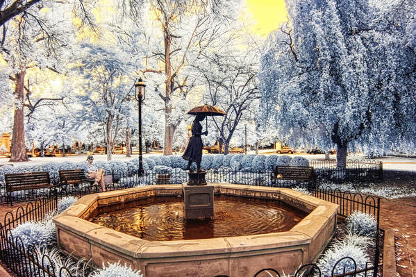Photograph Larry Hamill Sculpture Schiller Park This Morning on One Eyeland