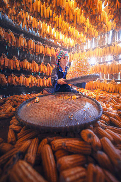 Photograph Daniel Vine Garcia House Of Corn on One Eyeland