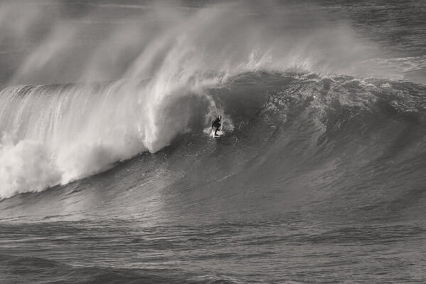 Photograph Steve Turner Ocean Gladiator on One Eyeland