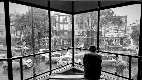Photograph David Pinzón Solitario Taciturno on One Eyeland