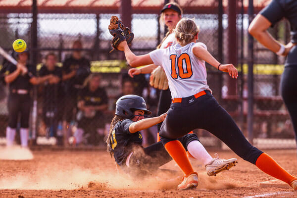 Photograph Arianna Grainey Arizona Storm Todd Vs Az Force Harper on One Eyeland