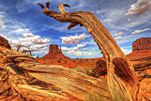 Photograph Arianna Grainey Monument Valley on One Eyeland
