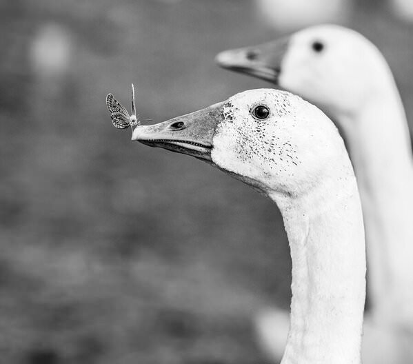Photograph Elena Mart Gusi on One Eyeland