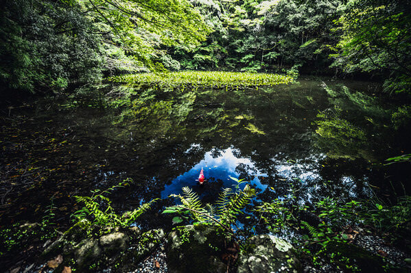 Photograph Mel Yukiina The Owner Of This Pond on One Eyeland