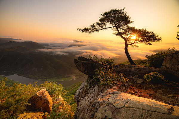 Photograph Kyawthu Wai Golden Serenity on One Eyeland