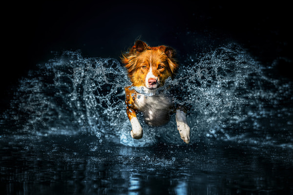 Photograph Lucie Nermutova In The Heart Of Splash on One Eyeland