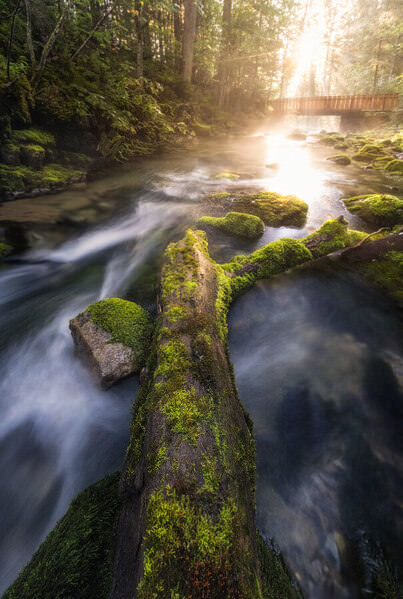 Photograph Benjamin Hoeger Golden Bridge on One Eyeland
