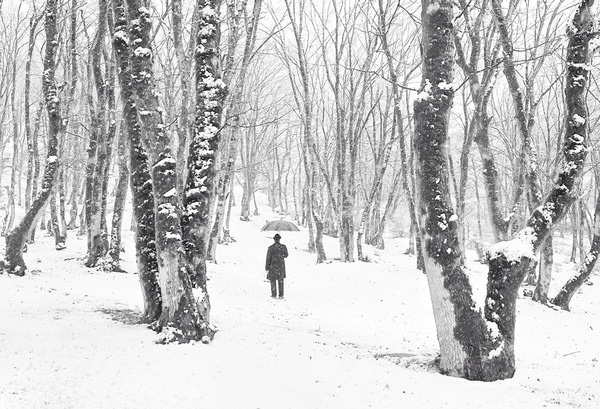 Photograph Arezoo Arianpour Balance Within Chaos on One Eyeland