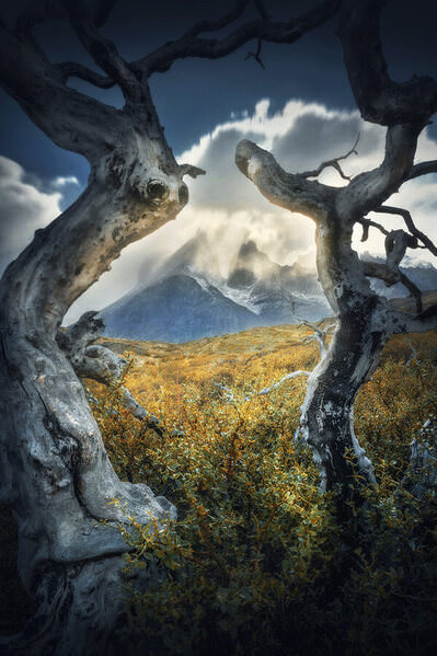 Photograph Roksolana Baran Windswept Portal on One Eyeland
