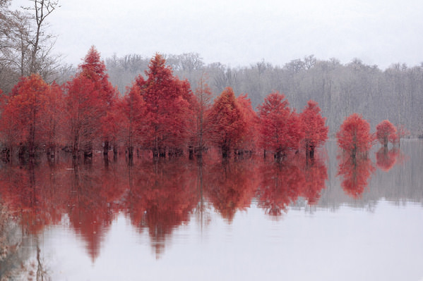 Photograph Saba Etehad Ketabchi Dream Of A Red Horizon on One Eyeland