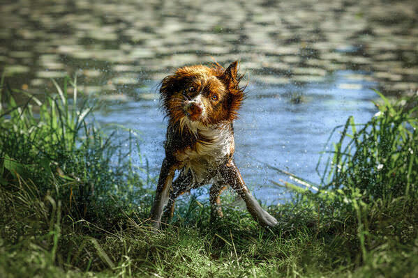 Photograph Lucie Nermutova Joy In Motion on One Eyeland