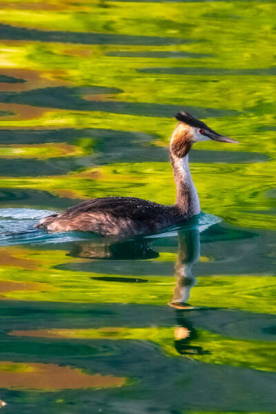 Photograph Mirko Colombo Among The Colors Of The Lake on One Eyeland