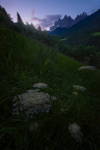 Photograph Markus Albert Cold Embrace on One Eyeland