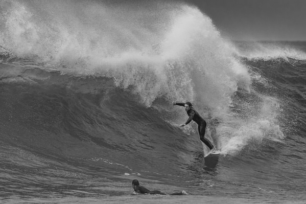 Photograph Steve Turner Wind Swept on One Eyeland