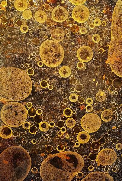 Photograph Kristina Alencikiene Bubbles on One Eyeland