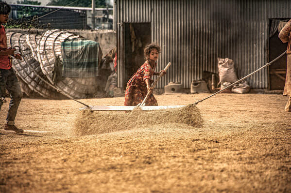 Photograph Mahin Rahaman Tiny Hands Heavy Burdens on One Eyeland