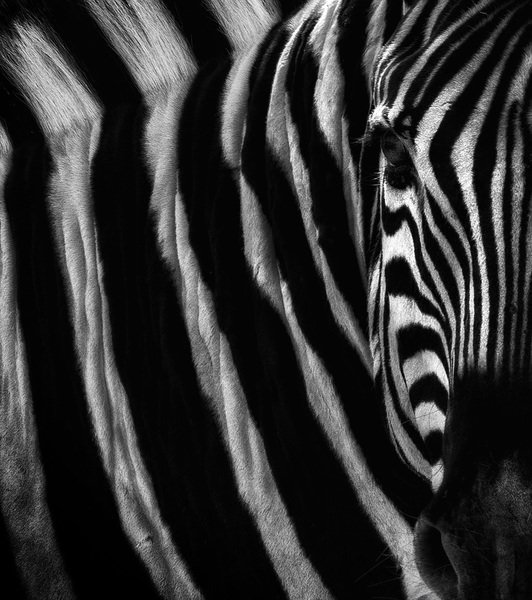 Photograph Eugenia Kyriakopoulou Stripes on One Eyeland