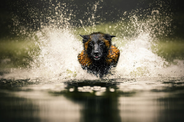 Photograph Lucie Nermutova Hydro Hunter Activated on One Eyeland