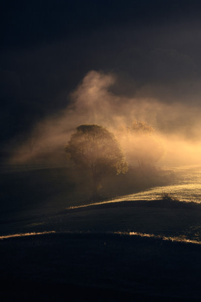 Photograph Veronika Patalasova Awakening Of The Ridges on One Eyeland